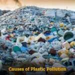 Causes of Plastic Pollution