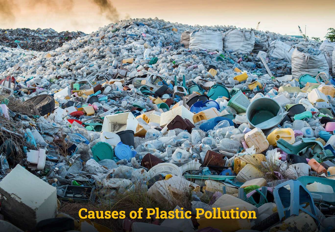 Causes of Plastic Pollution