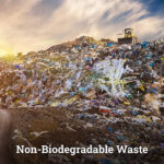 What is Non Biodegradable Waste