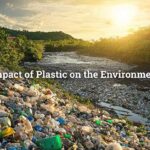 Impact of Plastic on the Environment