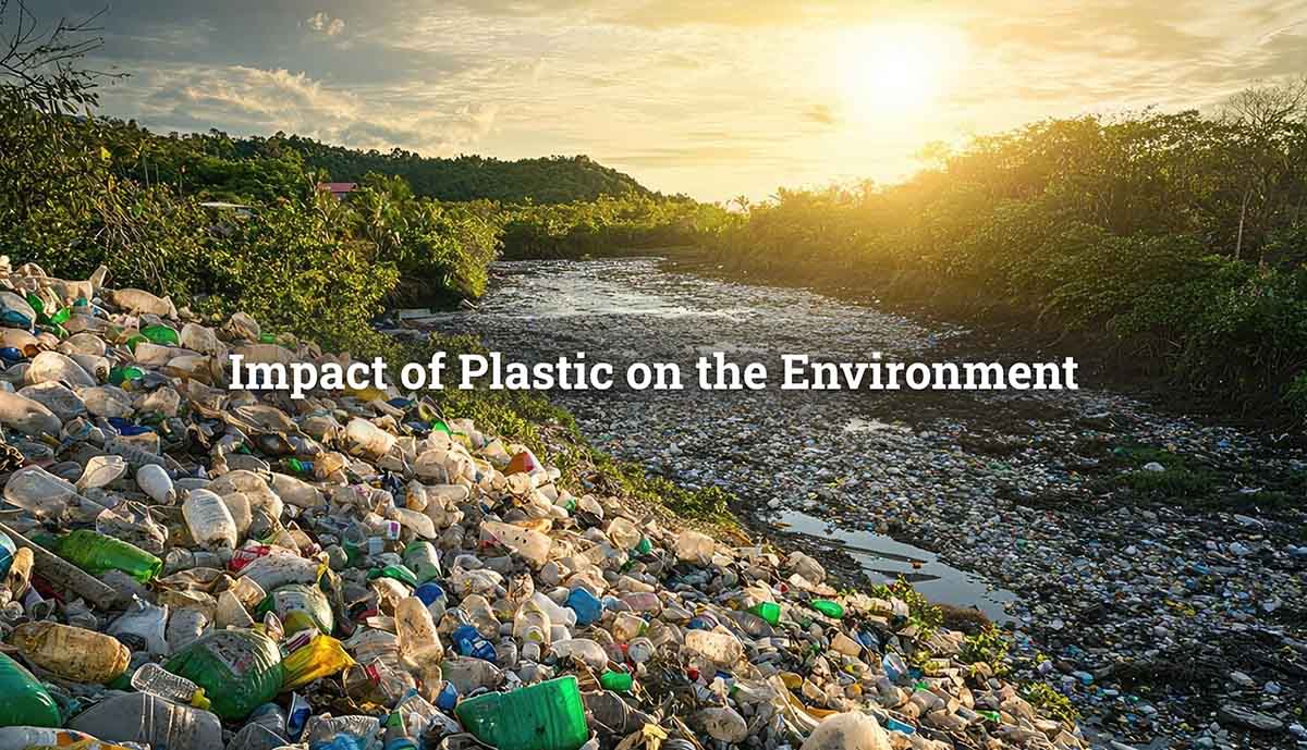 Impact of Plastic on the Environment